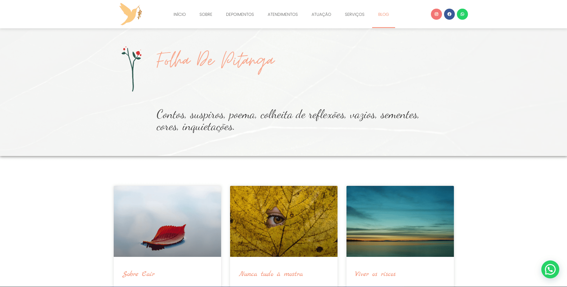 Profissional de Psicologia e Psicanalista